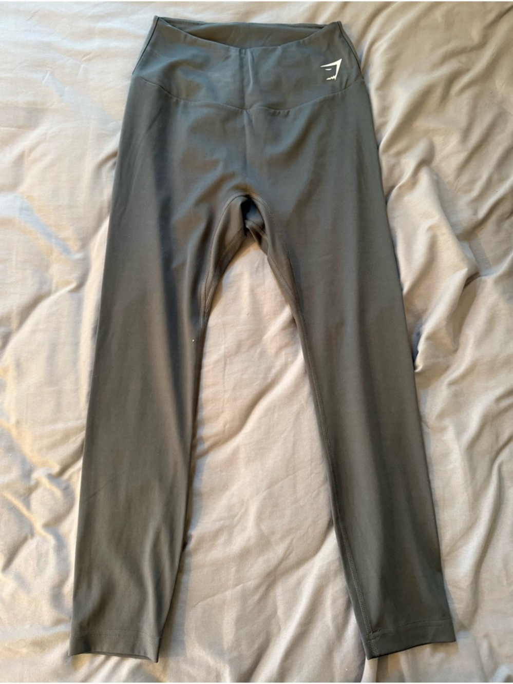 Gymshark Woman’s Dark Gray Performance Leggings